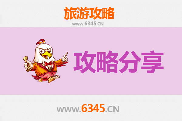 防城港上思旅游攻略：跟团与自由行深度对比